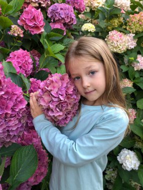 Küçük bir kız mavi ortanca çiçeklerini kokluyor.