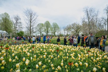 Lisse, Hollanda - 17 Nisan 2019: Çok sayıda kişi yukarıdan Keukenhof Park Manzarası 'nda yürüyor