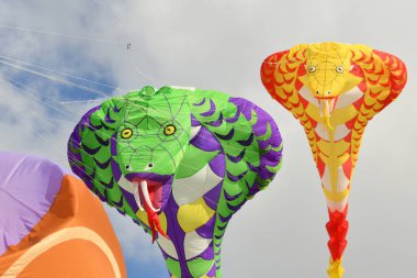 Uçurtma festivali. Atlantik Okyanusu sahillerinde gökyüzünde uçan kobra.