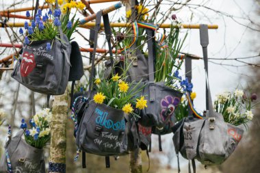 Lisse, Hollanda - 17 Nisan 2019: Muscari nergisleri eski bir çantada asılı
