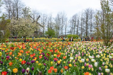 Lisse, Hollanda - 17 Nisan 2019: Keukenhof parkında çok sayıda insan yürüyor