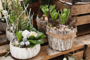 Noel için sümbüllü Noel kompozisyonu