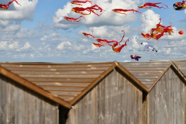 Uçurtma festivali. Atlantik Okyanusu sahillerinde gökyüzünde birçok uçurtma