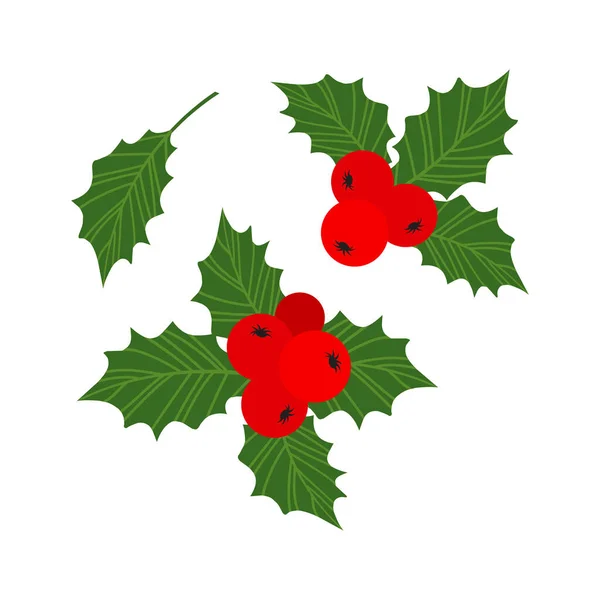 Christmas Holly Berry Vector Icon Cartoon Mistletoe Leaf Ilex Branch — Stock Vector