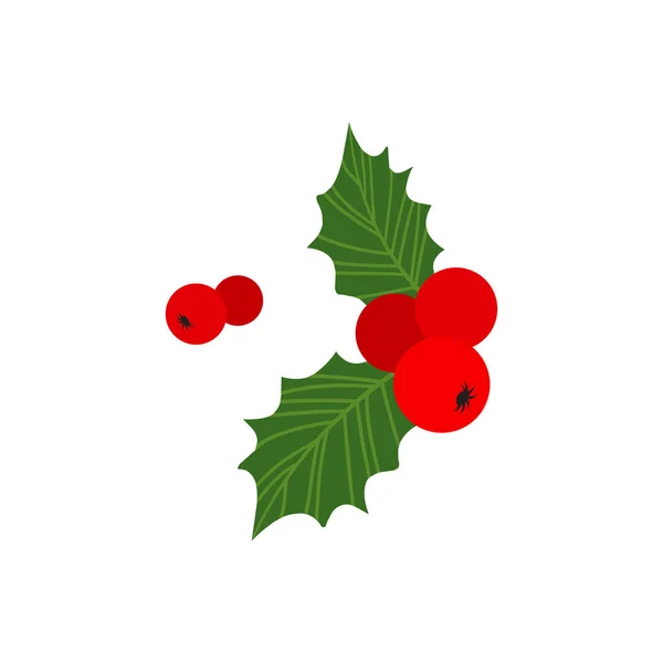 Weihnachten Stechpalme Rote Ilex Zweig Mistel Und Blatt Vektor Symbol — Stockvektor