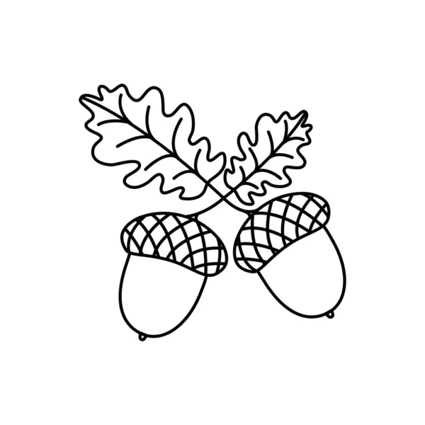 Eichel Vektorlinie Symbol Eichenblatt Herbstnuss Schwarze Umrisse Silhouette Weihnachten Einfache — Stockvektor