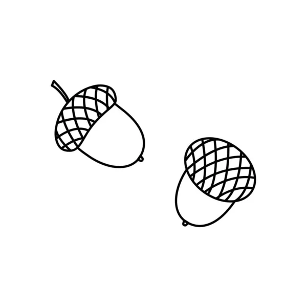 Ikona Vektorové Čáry Černý Obrys Dubového Ořechu Jednoduchá Podzimní Ilustrace — Stockový vektor