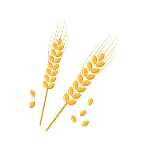 Spike Wheat Barley Vector Icon Ear Grain Cereal Corn Rye — Stock Vector