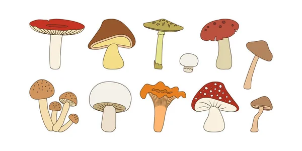Icona Vettoriale Fungo Funghi Foresta Cartone Animato Insieme Isolato Sfondo — Vettoriale Stock