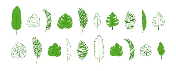 緑の葉のヤシ ジャングルの熱帯植物のベクトルのアイコン フラットとラインのデザイン 夏は白地に隔離された エキゾチックなシンプルなイラスト — ストックベクタ