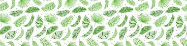 Dikensiz palmiye yaprağı, yeşil ağaç yaprakları, hindistan cevizi, yaz arkaplanı, tropikal yapraklar, orman dokusu, Hawaii baskısı. Çiçek tekrarlama illüstrasyonu