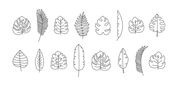 Ikona Palmových Listů Design Obrysu Tropických Rostlin Černá Kresba Bílém — Stockový vektor