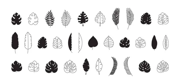 Листья Пальмы Тропические Джунгли Икона Растительного Вектора Черная Плоская Линия — стоковый вектор