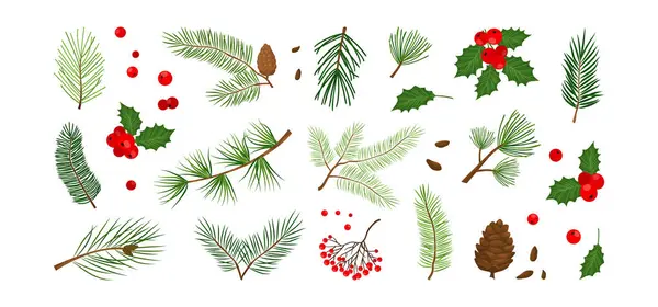 Weihnachtsbaum Tanne Tannenzapfen Stechpalme Blattast Mistel Wintervektorsymbol Weihnachten Isoliert Auf — Stockvektor