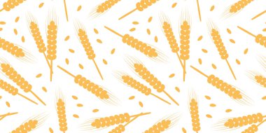 Buğday sapsız desen, tahıl arpası arka planı, mısır gevreği tarımı vektör dokusu. Altın bitki illüstrasyonu