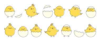 Karikatürdeki Paskalya pilici, tatlı tavuk yumurtası ikonu, komik karalama küçük kuş, beyaz arka planda izole edilmiş sarı bahar bebek koleksiyonu. Hayvan bayramı karakter çizimi