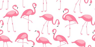 Çizgi film flamingosuz desen, pembe kuğu arkaplan, tropikal kuş izi, yaz hayvan seti, sevimli hayvanat bahçesi karakteri duvar kağıdı. Egzotik fauna vektör çizimi