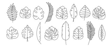 Palmiye yaprağı çizgisi ikonu, tropik ağaç, muz yaprakları, orman bitkisi, egzotik yaprak dizaynı. Karikatür yaz eğreltiotu, botanik koleksiyonu, basit siyah siluetler. Hawaii vektör illüstrasyonu