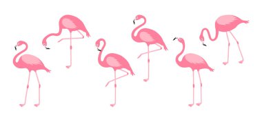 Çizgi film vektörü flamingo, pembe kuğu ikonu, tropikal kuş, yaz hayvan seti, beyaz arka planda izole edilmiş şirin hayvanat bahçesi karakteri. Egzotik hayvan illüstrasyonu