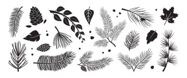 Noel çamı ve köknar, kış veya sonbahar yaprakları ladin ve dal ağacı, yemyeşil bitki, sedir dalı ikonu, Xmas ağacı, siyah bayram süsü. Yeni yıl el çizimi element seti. Vektör illüstrasyonu