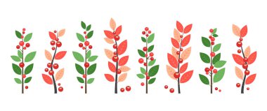 Noel meyvesi ikonu, kış bitkisi, dal yaprakları, ökseotu, yeşillik dekoru, tatil ağacı beyaz arka planda izole edilmiş kırmızı küçük böğürtlen. Xmas meyve seti. Çizgi film vektör illüstrasyonu