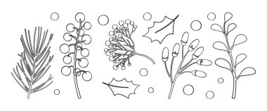 Noel ağacı ikonu, kutsal çilek, kış ağacı, ilex, yaprak. Tatil dekoru, sonbahar filizi, Xmas dalı. Siyah siluet beyaz arka planda izole edilmiş tasarım dizaynı. Vintage vektör illüstrasyonu