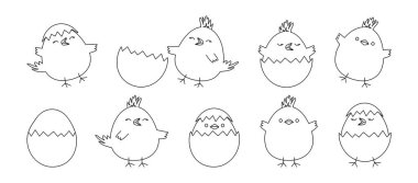 Paskalya pilici ve yumurta çizgisi ikonu, çizgi film çocuk kuşu, şirin küçük tavuk kapağı, küçük bahar karakterleri beyaz arka planda izole edilmiş siyah çizgi tasarımı. Hayvan vektör illüstrasyonu
