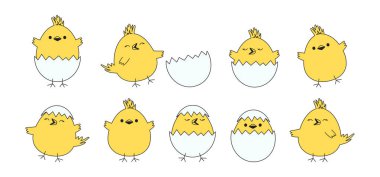 Easter chick, cute chicken and egg shell, cartoon baby bird hatch, funny yellow character, spring small kid hen set isolated on white background. Drawing vector illustration