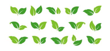 Yaprak ikonu, yeşil yaprak ağacı, vegan bitki doğası, eko şekli, bahçe ya da orman sembolü, çay takımı. Bahar yaprakları, organik filizler. Çevre geri dönüşümü beyaz arkaplanda. Basit vektör illüstrasyonu