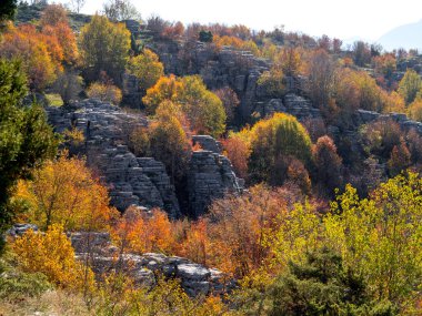 Beloi, Yunanistan 'ın Epirus dağlarındaki Vikos Boğazı' nda güverte yürüyüş patikası