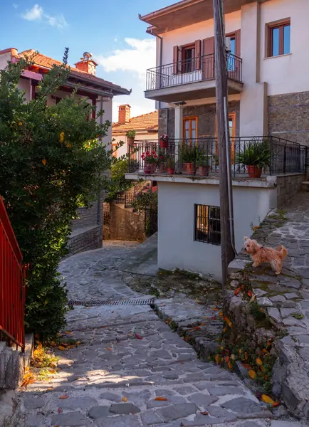 Yunanistan 'ın Epirus dağlarındaki Metsovo dağ turizm köyünde geleneksel mimari caddeler ve evler