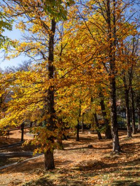 Yunanistan 'ın Epirus dağlarındaki Metsovo köyündeki Averoff Park