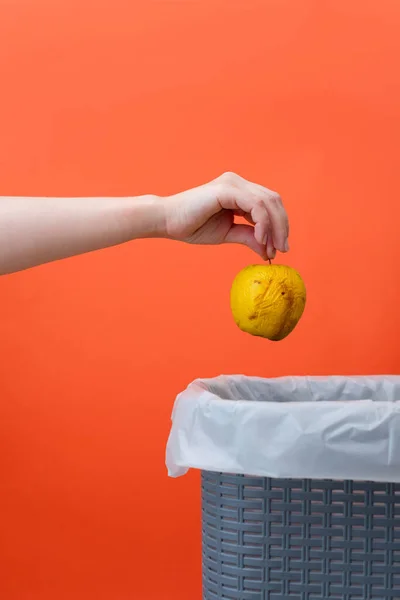 Frau Legt Den Faulen Apfel Den Papierkorb Auf Orangefarbenem Hintergrund — Stockfoto
