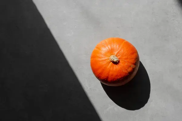 Draufsicht Auf Isolierten Kürbis Auf Grauem Hintergrund Herbstliches Ernährungskonzept Herbsthintergrund — Stockfoto