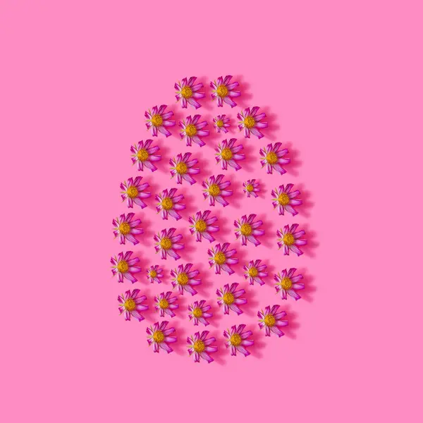 Ostern Kreatives Konzept Rosafarbene Blüten Auf Rosa Hintergrund Kreativer Farbhintergrund — Stockfoto