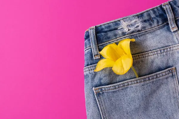 Creative spring concept made with tulip flowers in back pocket of blue jeans isolated on hot pink background. Top view, close up, copy space