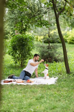 Beyaz, mutlu bir adam yaz pikniğinde Jack Russell Terrier köpeğiyle rahatlıyor. Adam dışarıda şirin Jack Russell Terrier köpeğiyle dinleniyor, en iyi arkadaşlar yeşil güneşli parkta.