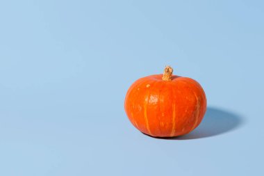 Mavi arka planda turuncu balkabağı. Yaratıcı ve minimal tatil sezonu konsepti, kopyalama alanı