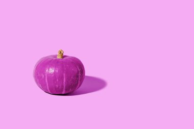 Purple pumpkin on a purple background. Creative and minimal Holiday season concept, copy space clipart