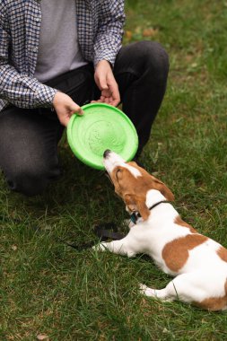 Güz parkında Jack Russell Terrier köpeğiyle oynayıp antrenman yapan sıradan giyinmiş beyaz bir adam. Evcil hayvan sahibi ve köpeği yeşil çimlerin üzerinde sonbahar yapraklarıyla eğleniyorlar.  