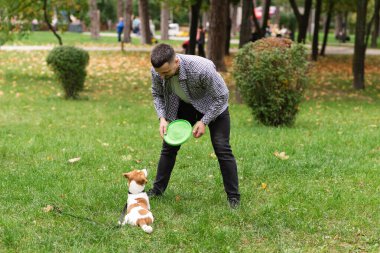 Güz parkında Jack Russell Terrier köpeğiyle oynayıp antrenman yapan sıradan giyinmiş beyaz bir adam. Evcil hayvan sahibi ve köpeği yeşil çimlerin üzerinde sonbahar yapraklarıyla eğleniyorlar.  