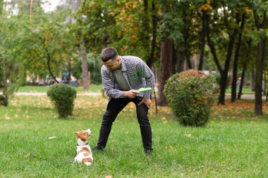Güz parkında Jack Russell Terrier köpeğiyle oynayıp antrenman yapan sıradan giyinmiş beyaz bir adam. Evcil hayvan sahibi ve köpeği yeşil çimlerin üzerinde sonbahar yapraklarıyla eğleniyorlar.  