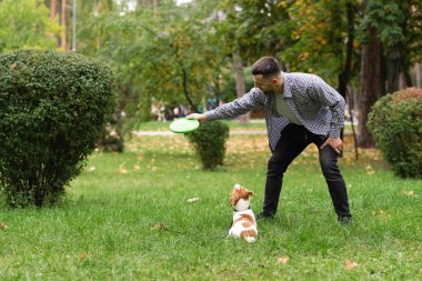 Güz parkında Jack Russell Terrier köpeğiyle oynayıp antrenman yapan sıradan giyinmiş beyaz bir adam. Evcil hayvan sahibi ve köpeği yeşil çimlerin üzerinde sonbahar yapraklarıyla eğleniyorlar.