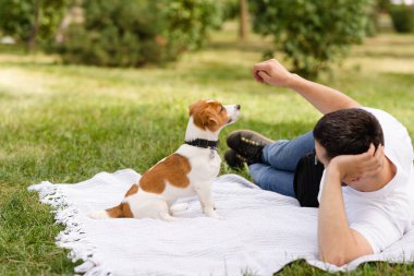 Şirin Jack Russell Terrier köpek yavrusu güneşli bir günde bahçeye çıkıp sahibine günlük giysiler giydirip oynuyor. Modern yaşam tarzı ve mutlu ev hayvanları yaşam konsepti