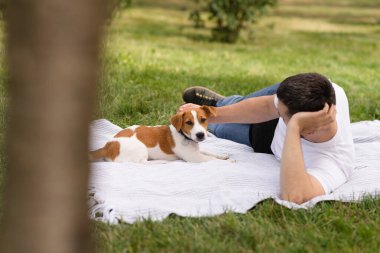 Şirin Jack Russell Terrier köpek yavrusu güneşli bir günde bahçeye çıkıp sahibine günlük giysiler giydirip oynuyor. Modern yaşam tarzı ve mutlu ev hayvanları yaşam konsepti