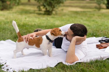 Şirin Jack Russell Terrier köpek yavrusu güneşli bir günde bahçeye çıkıp sahibine günlük giysiler giydirip oynuyor. Modern yaşam tarzı ve mutlu ev hayvanları yaşam konsepti