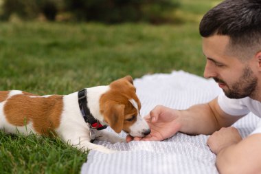 Şirin Jack Russell Terrier köpek yavrusu güneşli bir günde bahçeye çıkıp sahibine günlük giysiler giydirip oynuyor. Modern yaşam tarzı ve mutlu ev hayvanları yaşam konsepti
