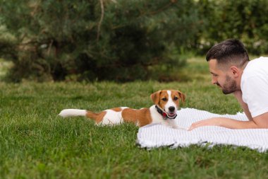 Şirin Jack Russell Terrier köpek yavrusu güneşli bir günde bahçeye çıkıp sahibine günlük giysiler giydirip oynuyor. Modern yaşam tarzı ve mutlu ev hayvanları yaşam konsepti