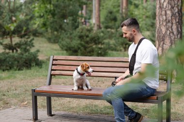 Jack Russell Terrier tasmalı yavru köpeği parkta evcil ebeveyniyle birlikte bankta oturuyor. Mutlu hayvan hayatı