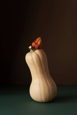 Koyu kahverengi arka planda duran kurutulmuş fındık ezmesi. Doğal şekilli minimalist kompozisyon, yumuşak ışıklandırma ve sıcak toprak tonları. Sonbahar durgun hayat, sonbahar konsepti